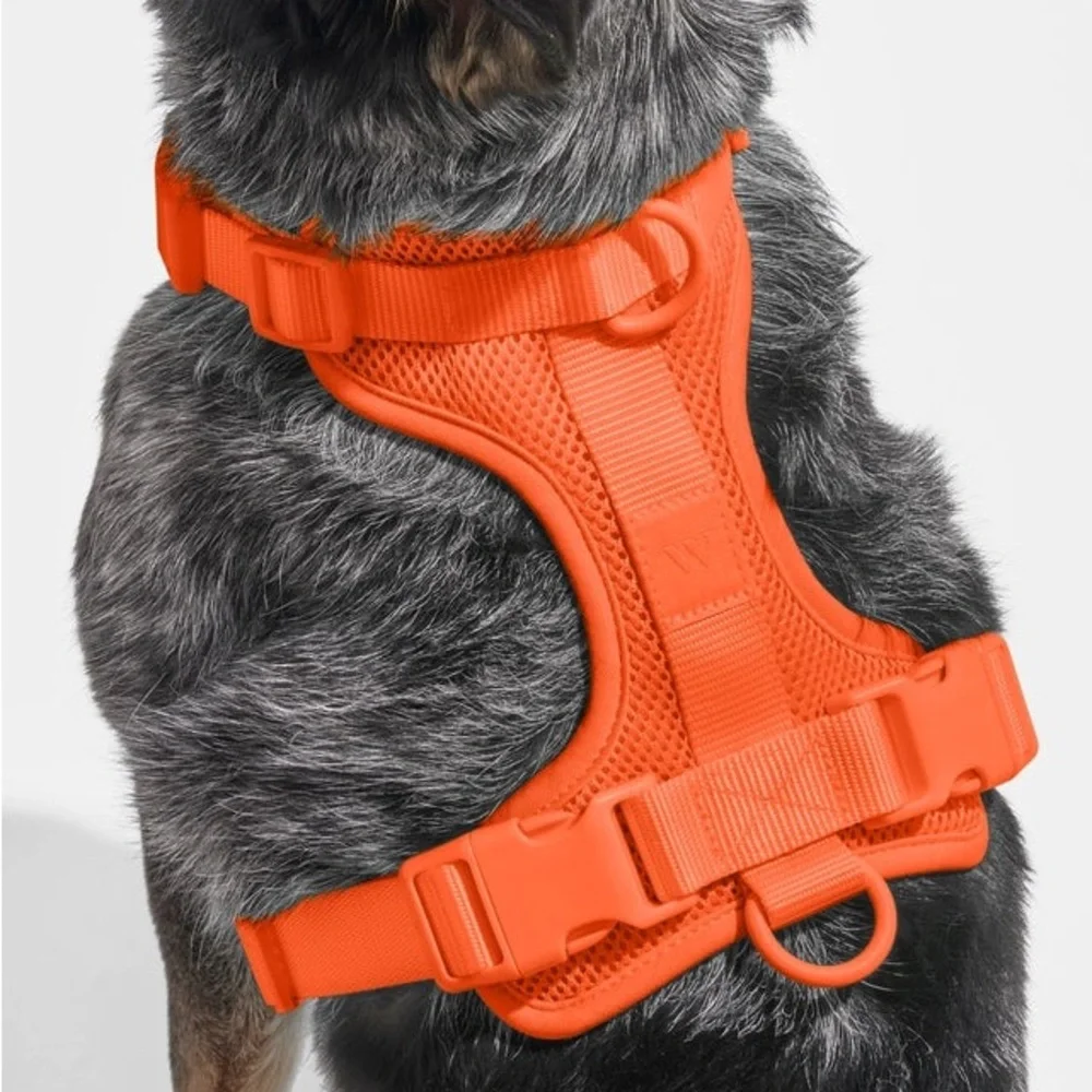 Wild One Dog Harness - Blaze - Size: XS
